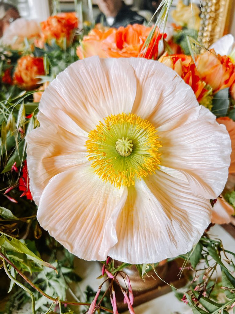 Décoration avec des fleures de saison