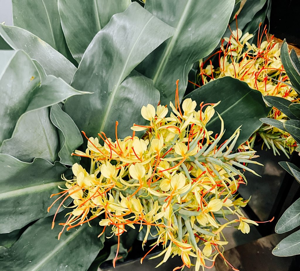Décoration des Tableaux avec des fleures de saison